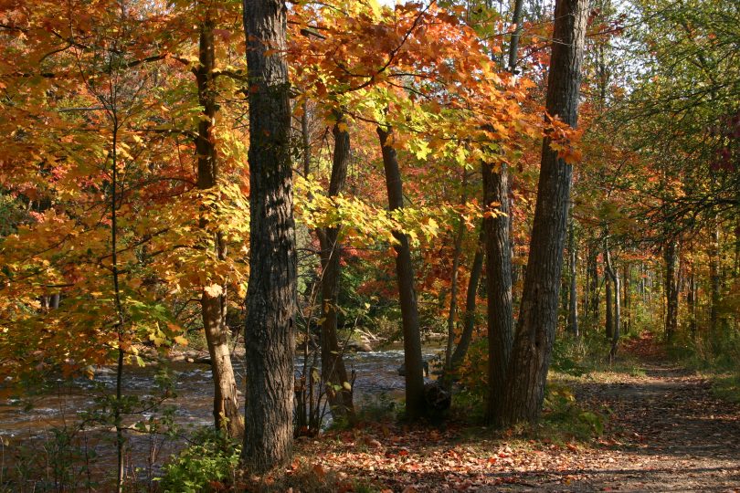 Credir River in fall