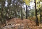 Humber trail