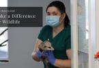 National Wildlife Centre