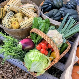Produce at Mount Wolfe Farm