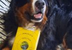 Forsters Book Review - Seek Immediate Shelter - with dog Sterling