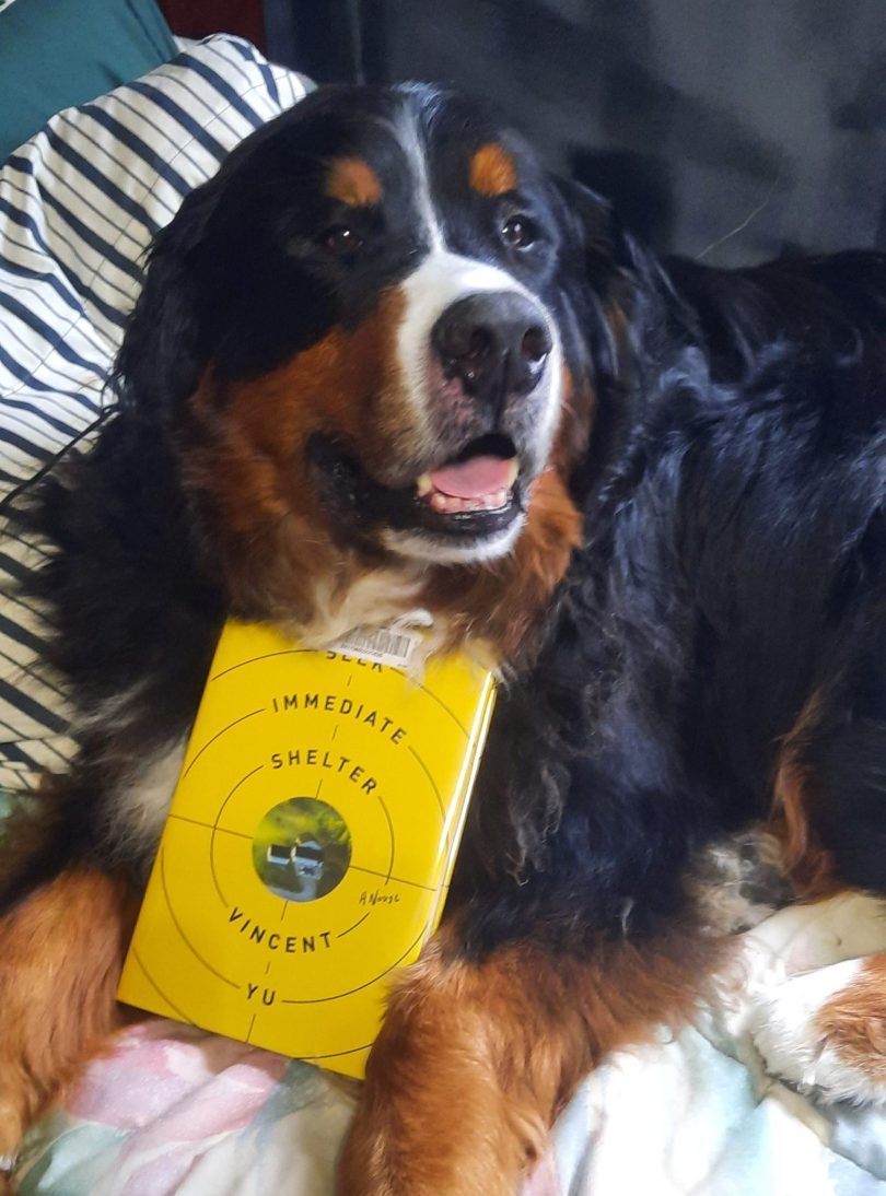 Forsters Book Review - Seek Immediate Shelter - with dog Sterling
