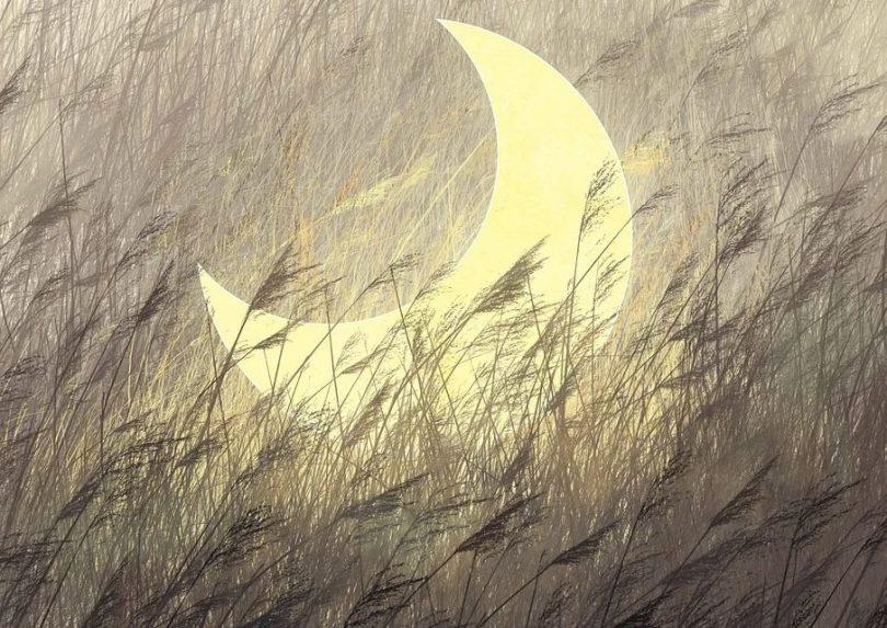 Wheatfield and moon