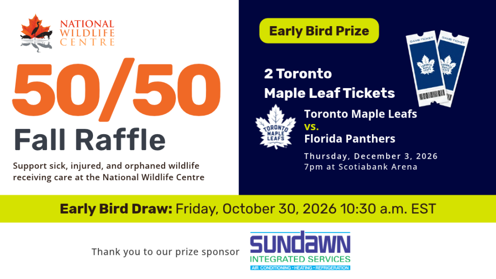NWC raffle and 50/50 Logo